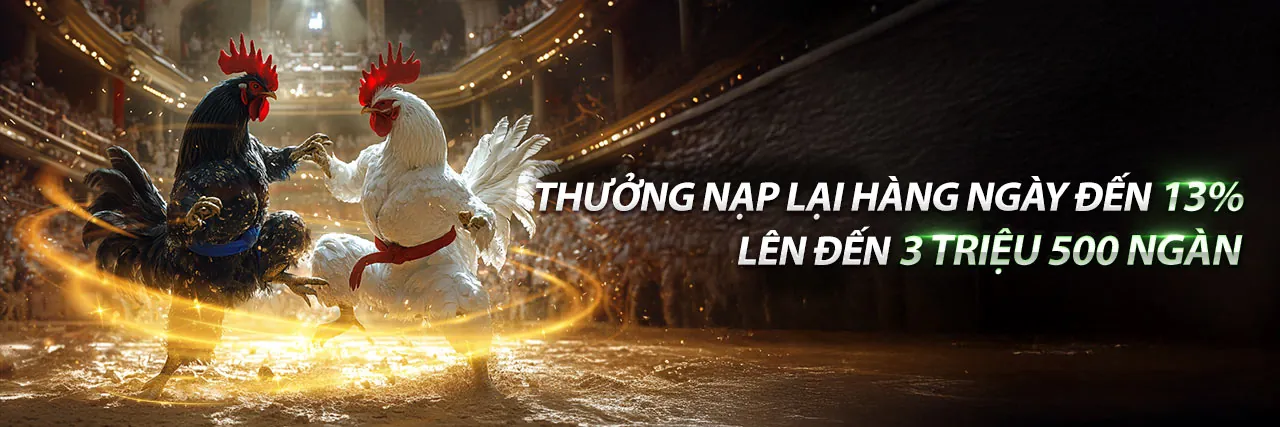 Tổng quan nền tảng dola88 nhà cái